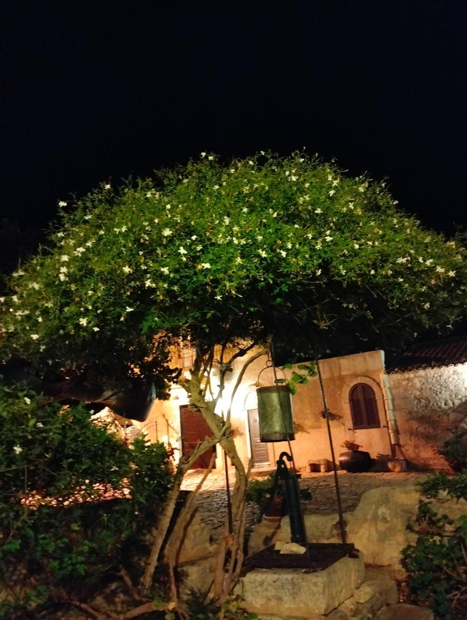 Willa I Dammusi Santa Croce Camerina Zewnętrze zdjęcie